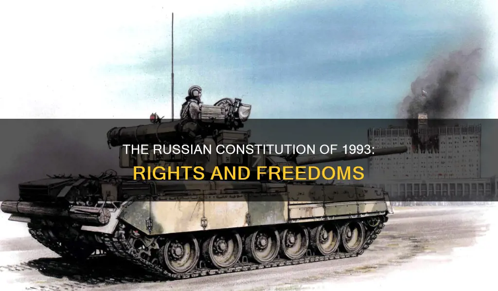 what does the russian constitution of 1993 provide