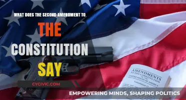 The Second Amendment: Right to Bear Arms Explained