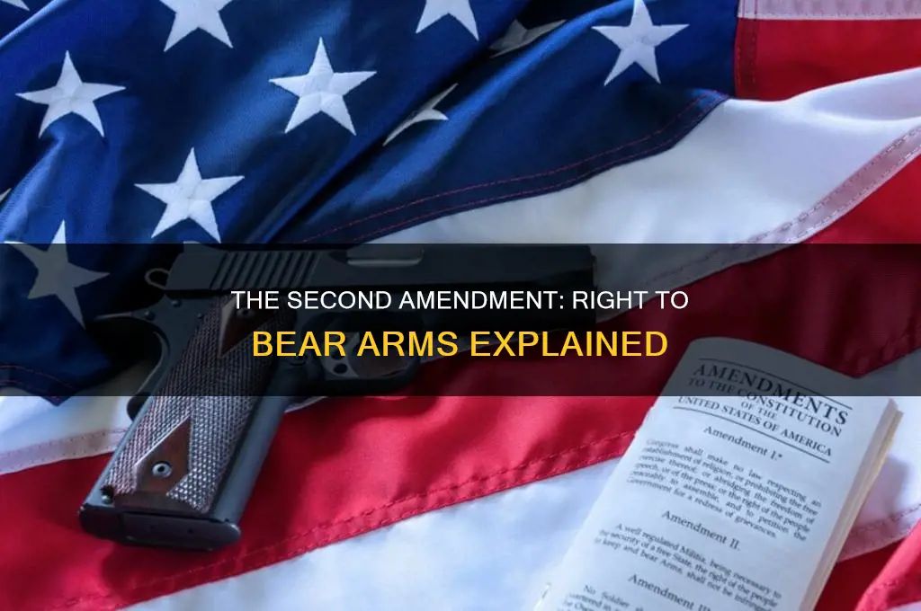 what does the second amendment to the constitution say