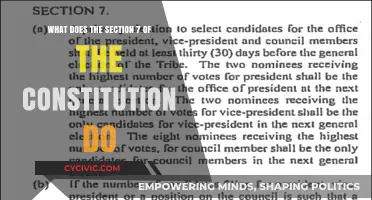 Understanding the Constitution: Section 7 Powers