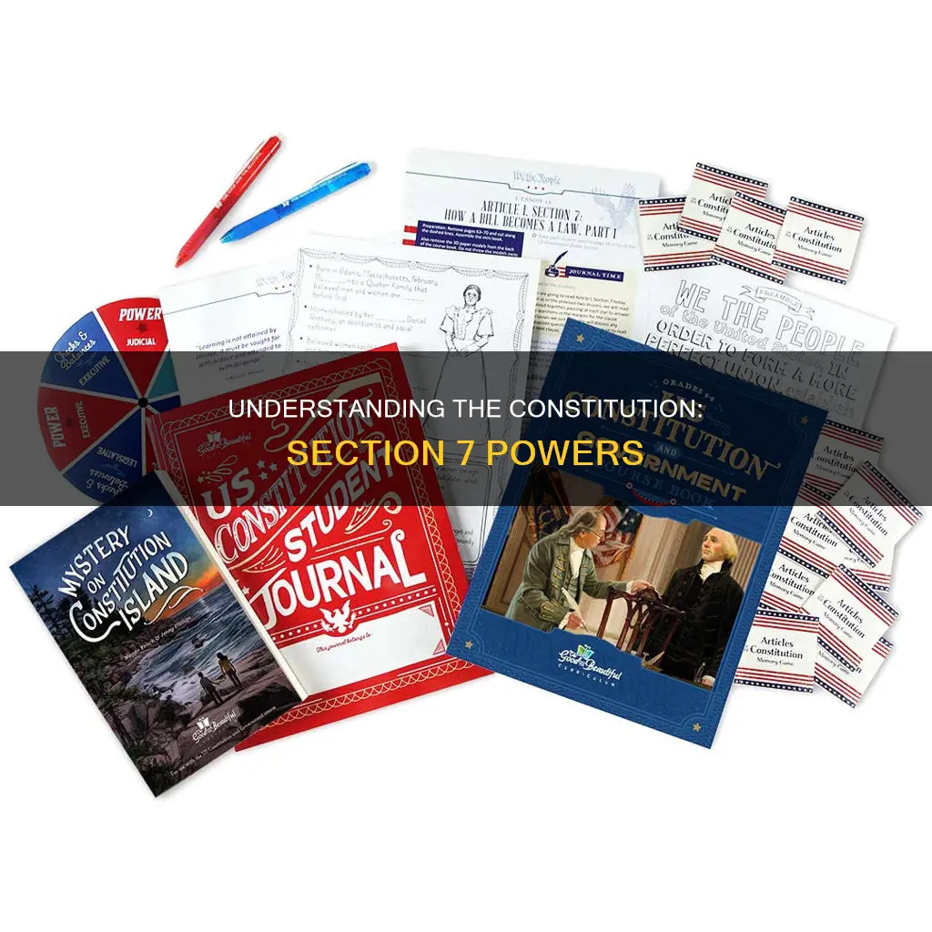what does the section 7 of the constitution do