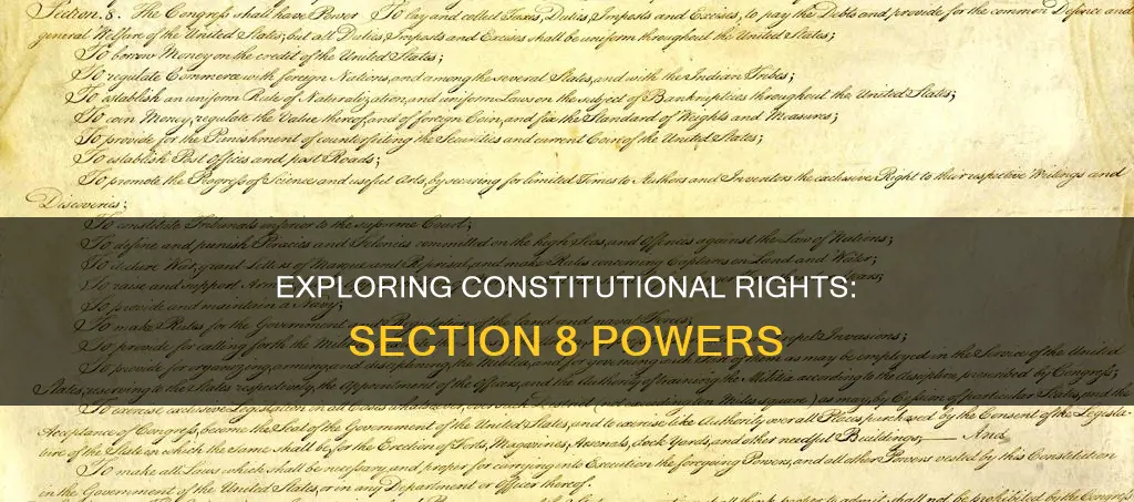 what does the section 8 of the constitution do