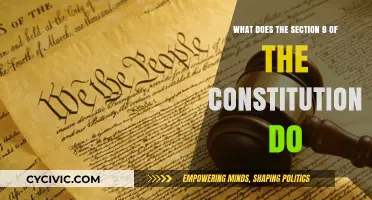 Understanding the Role of Section 9 of the Constitution