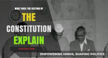 Exploring the Constitution's Sectional Secrets