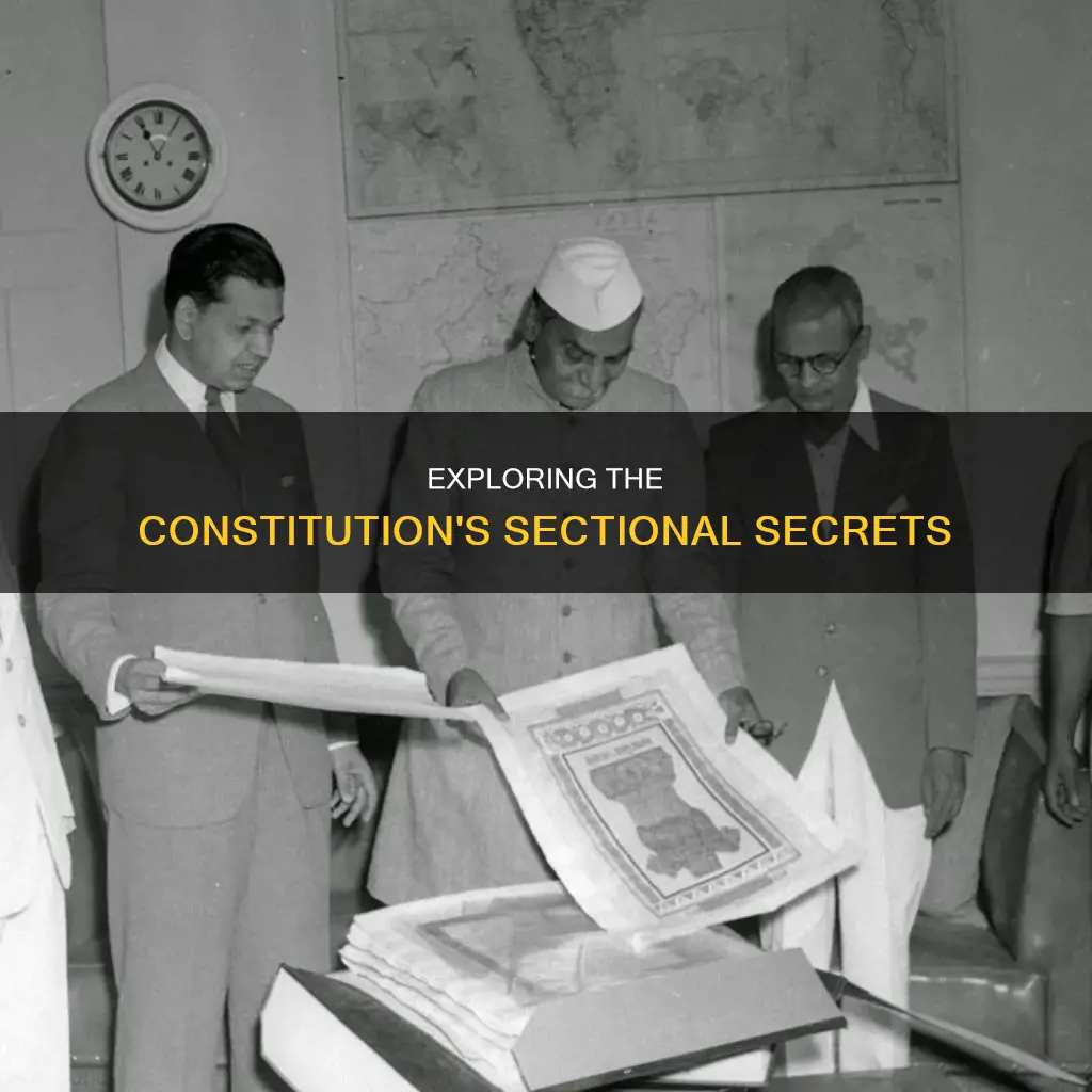 what does the section of the constitution explain