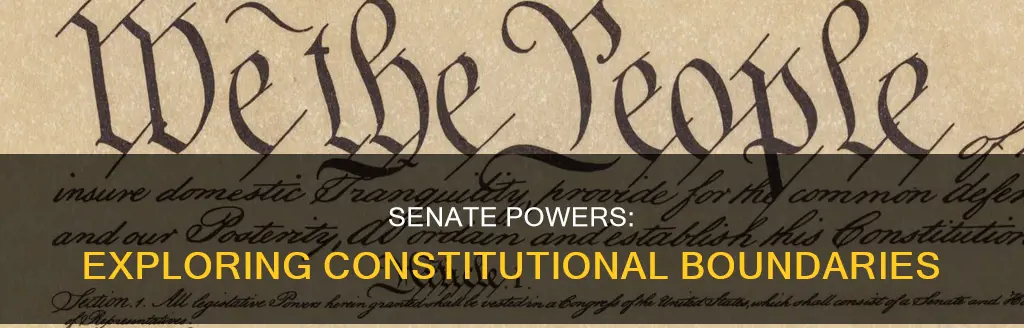what does the senate have the constitutional power of