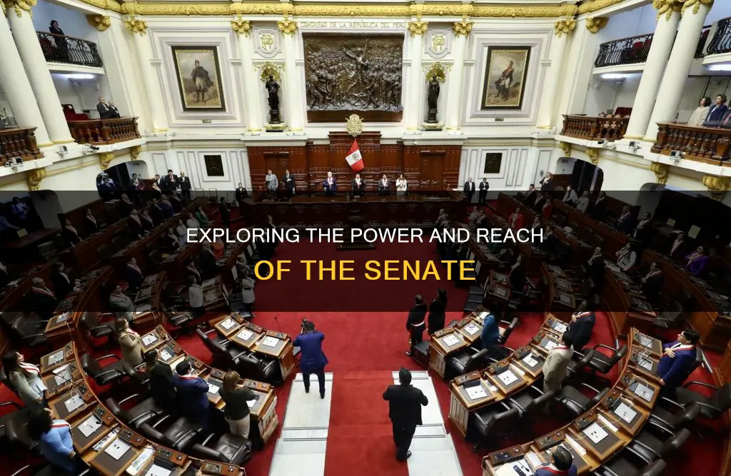 what does the senate have the power to do