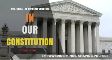 The Supreme Court: Our Constitution's Guardian