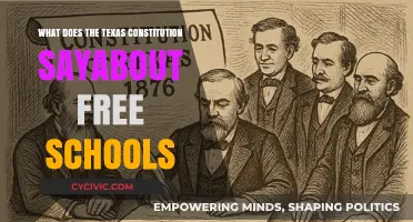 Texas Constitution: Free Schools and Education Rights