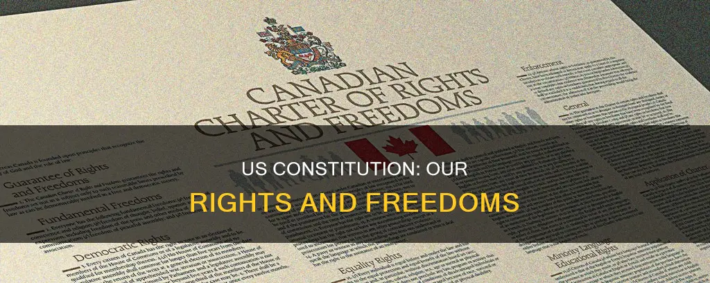 what does the us constitution do for citizens