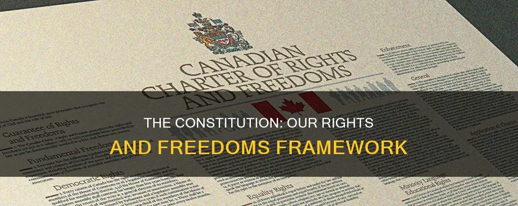 what does the us constitution do for us