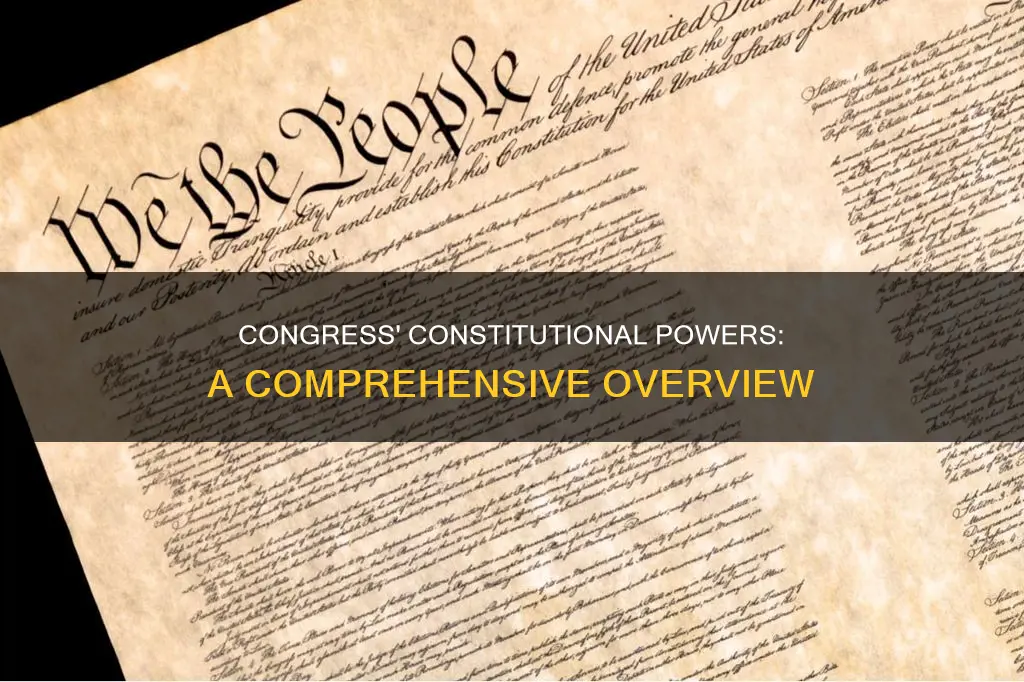 what does the us constitution give to congress