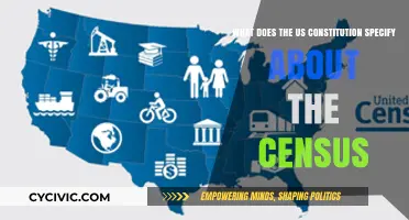 The US Constitution: Census, a Vital Pillar