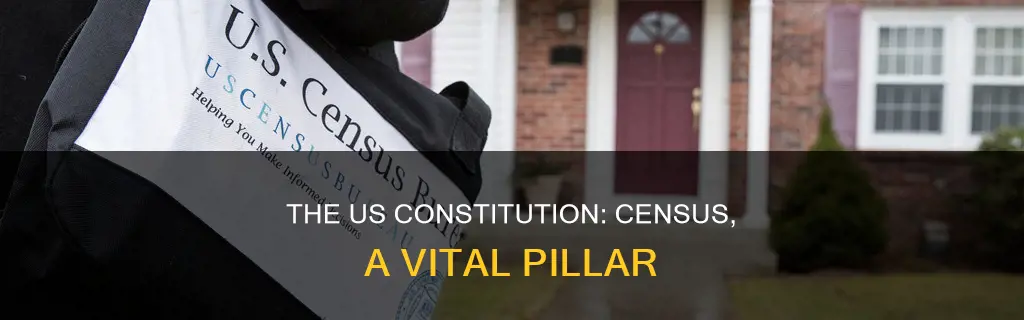 what does the us constitution specify about the census