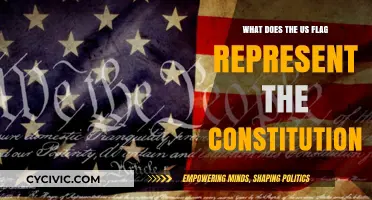 The US Flag: Symbolizing the Constitution and Democracy