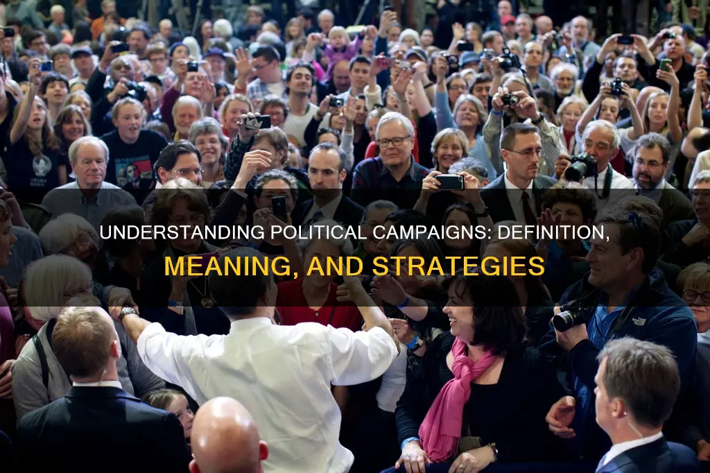 what does the word political campaign mean