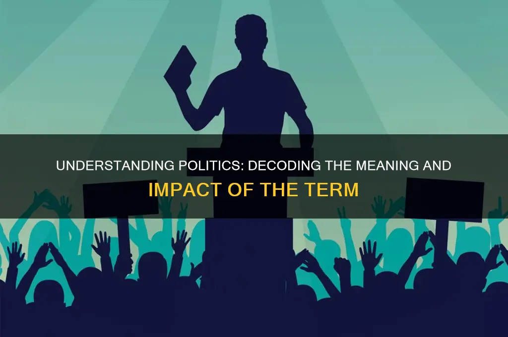 what does the word politics