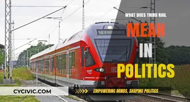 Decoding the Third Rail: Understanding Its Impact on Political Discourse