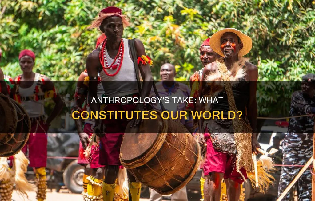 what does this constitute from an anthropological perspective