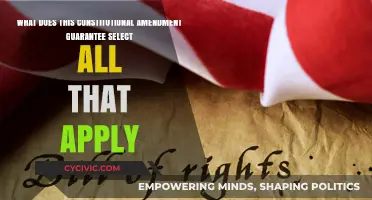 Exploring Constitutional Amendments: Understanding Our Guaranteed Rights