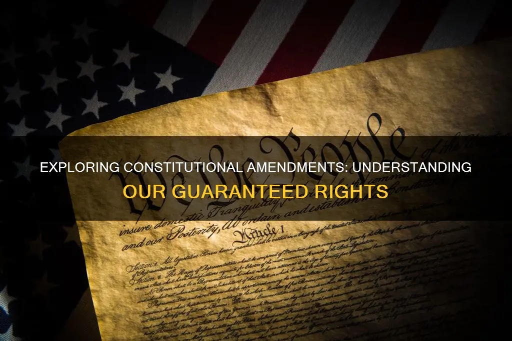 what does this constitutional amendment guarantee select all that apply
