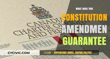 The Amendments: Our Constitutional Rights