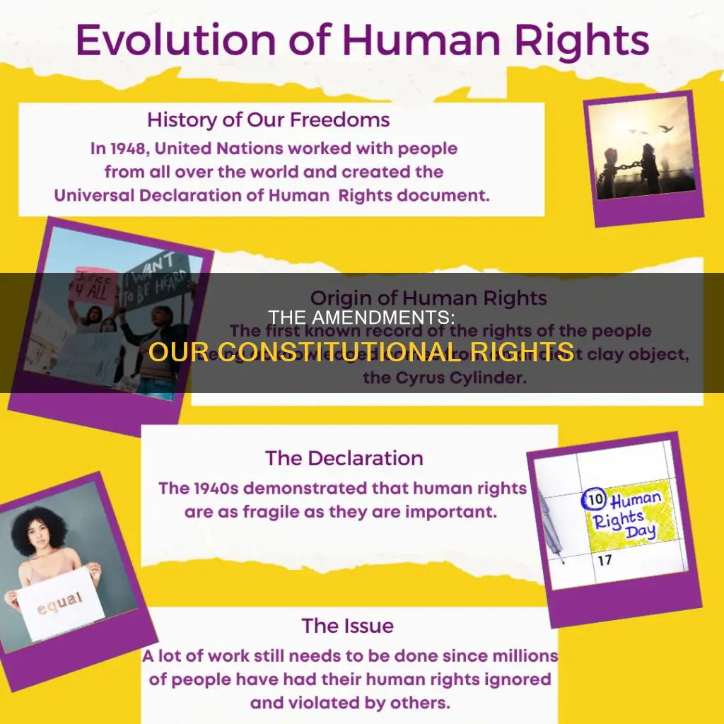 what does this constitutional amendment guarantee