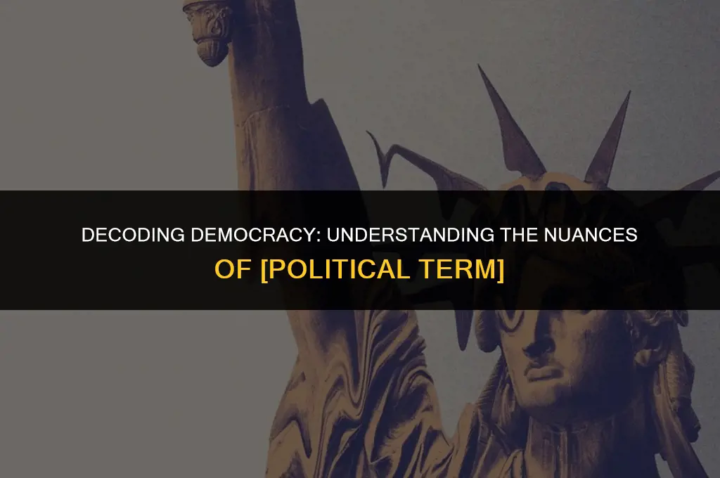 what does this political term mean