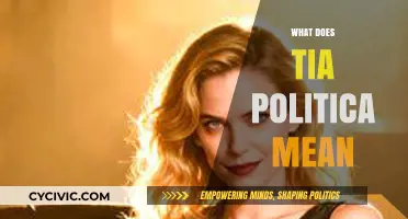 Exploring Family Ties: What Does 'Tía Política' Mean?