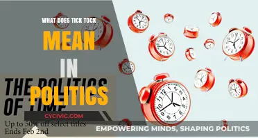 Decoding the Political Clock: What "Tick Tock" Really Means