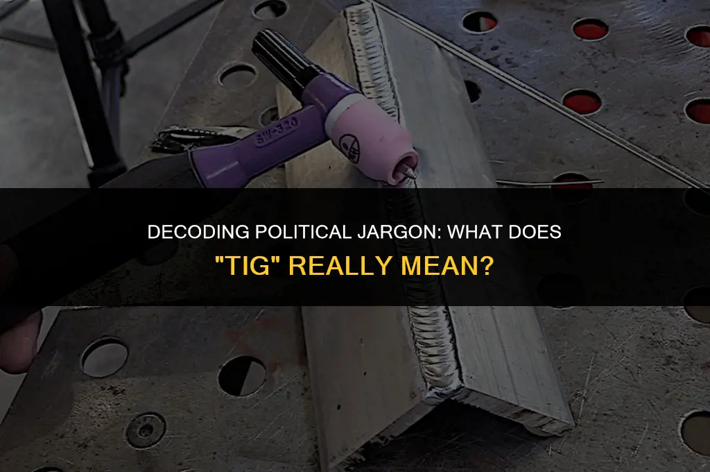 what does tig mean in politics