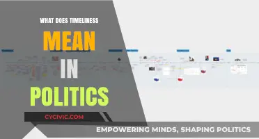 The Essence of Timeliness in Political Decision-Making