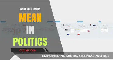 Decoding Timeliness: Understanding the Political Implications of Acting Promptly