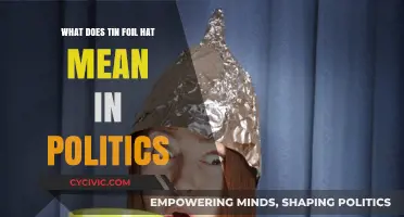 Decoding the Tin Foil Hat: Conspiracy Theories in Modern Politics
