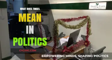 Unraveling Tinsel: Understanding Political Jargon and Its Impact
