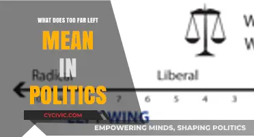 Exploring the Political Spectrum: What Does 'Too Far Left' Mean?