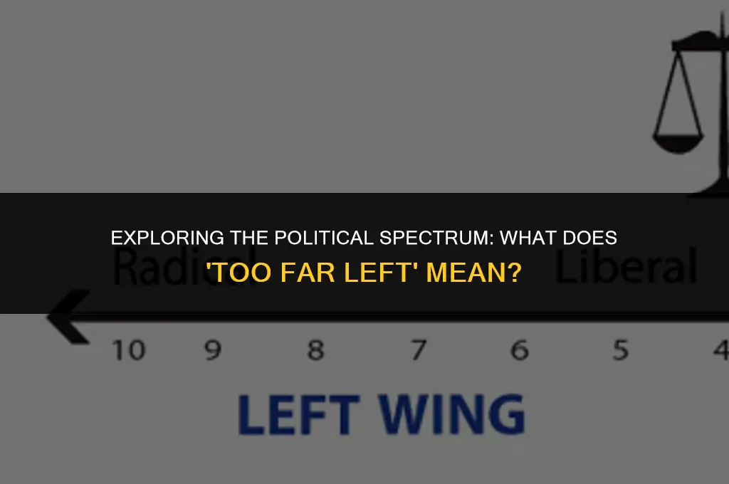 what does too far left mean in politics