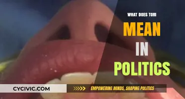 Decoding 'Tori': Understanding the Term in Political Context