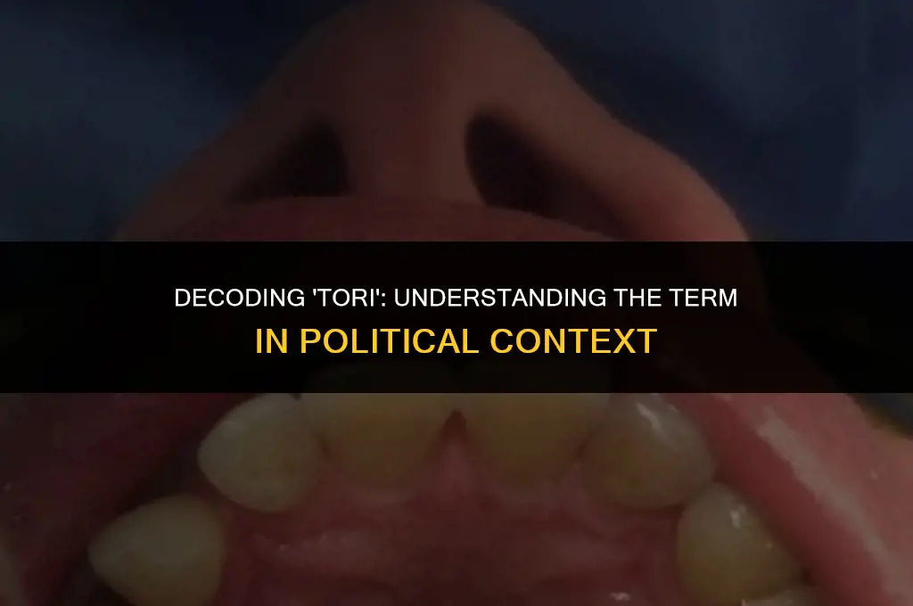 what does tori mean in politics