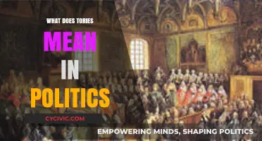 Understanding the Tories: A Guide to Their Political Ideology