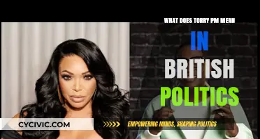 Decoding "Torry PM": Understanding Conservative Leadership in UK Politics