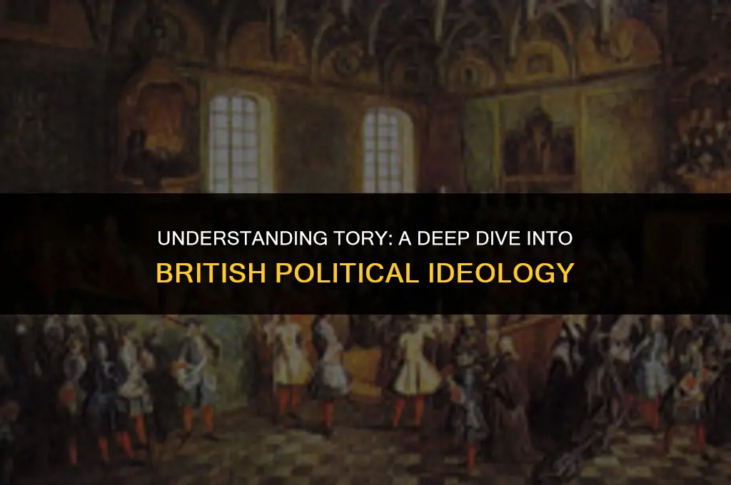 what does tory mean in british politics