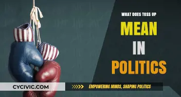 Decoding Political Jargon: What's a Toss-Up in Elections?