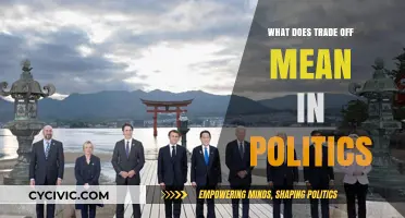 Navigating Political Trade-Offs: Balancing Ideals and Realities