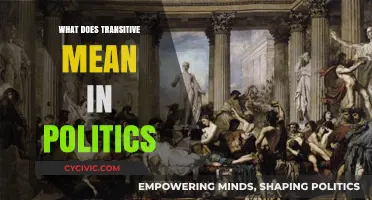 Understanding Transitive Politics: A Beginner's Guide to Political Dynamics