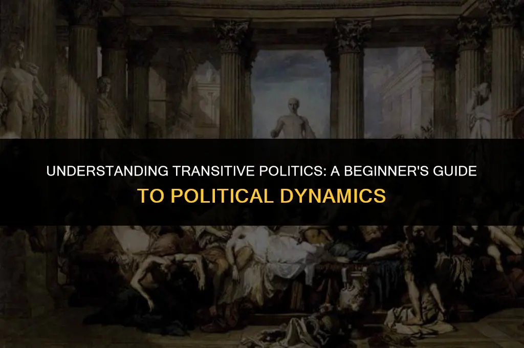 what does transitive mean in politics