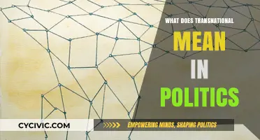 Exploring Transnational Politics: A Comprehensive Guide to Global Governance