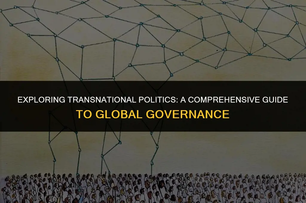 what does transnational mean in politics