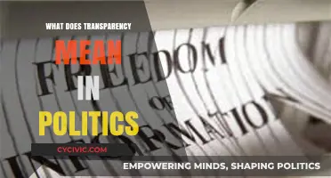 Unveiling Political Integrity: The Essence of Transparency in Governance