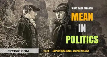 Understanding Treason: A Deep Dive into Political Betrayal